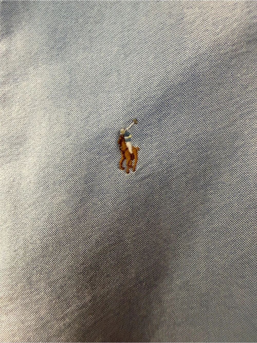 Ralph Lauren Light Blue Button-Down Shirt with Flesh Pony Logo